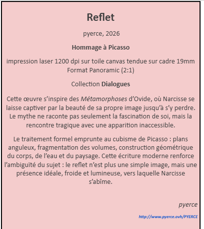 Cartel de Reflet